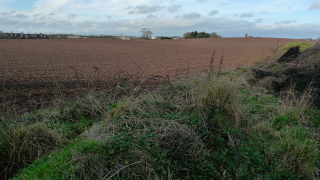 L1030548_amended_reduced