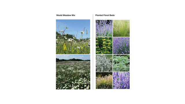 H_m_1163_bower_farm_vegetation_types_-_1a