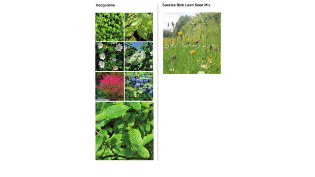 H_m_1163_bower_farm_vegetation_types_-_3a